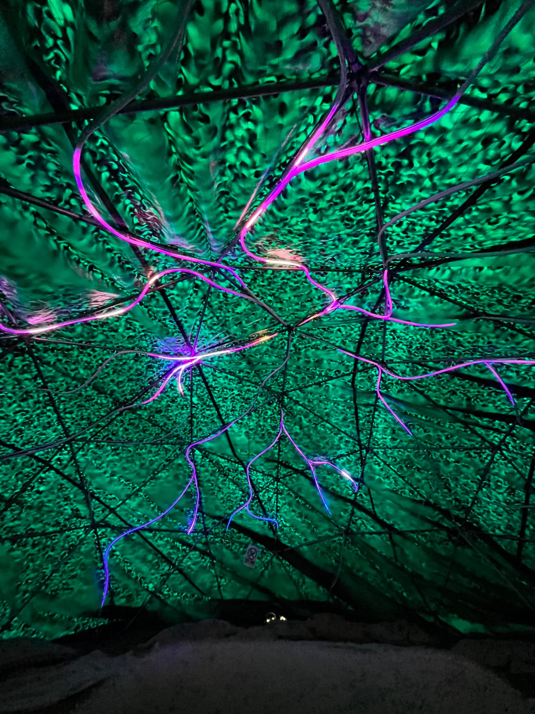Neurosphere